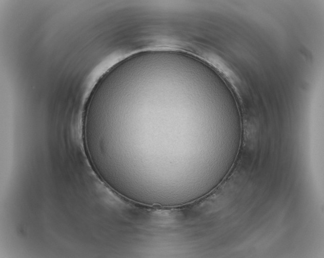 X0000112771480200909101540