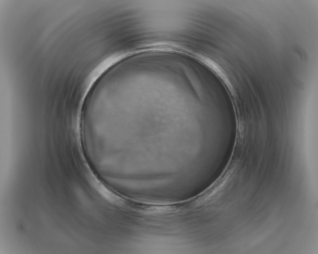 X0000112771482200909101540