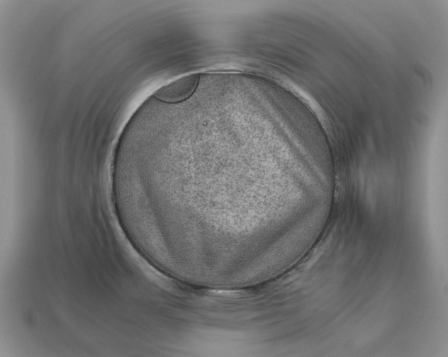 X0000112771483200909101540