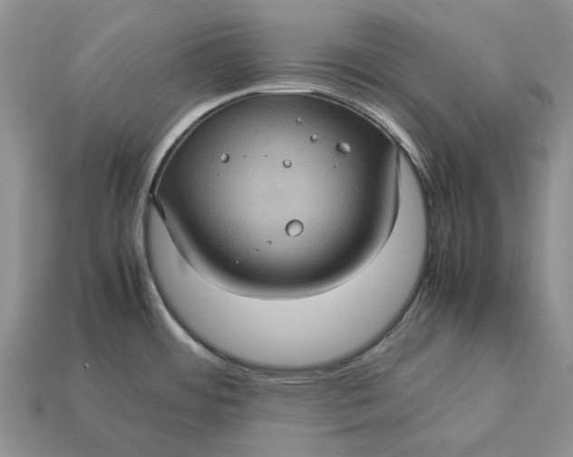 X0000112771484200909101540