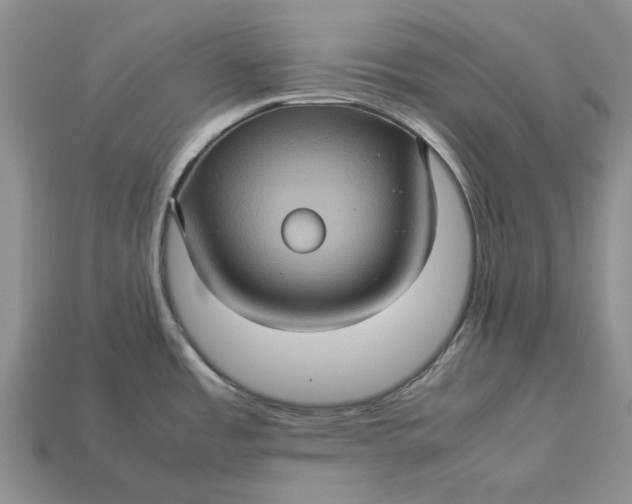 X0000112771485200909101540