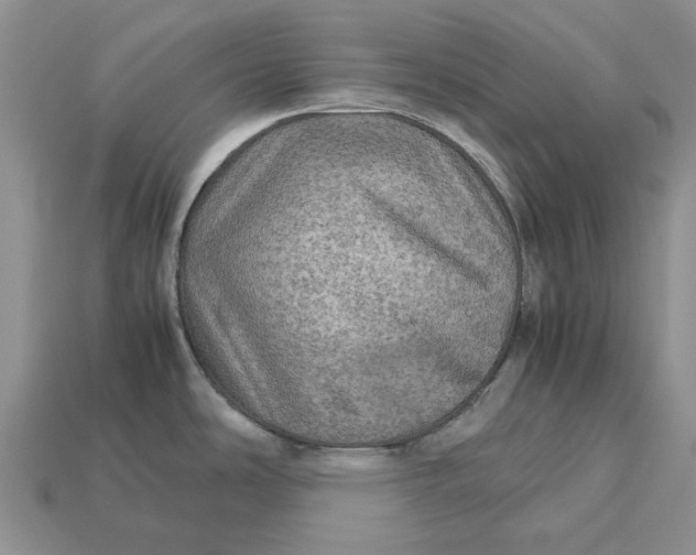 X0000112771486200909101540