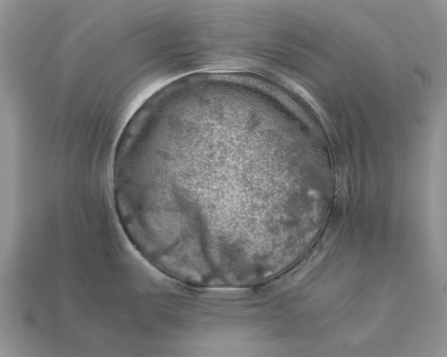 X0000112771487200909101540