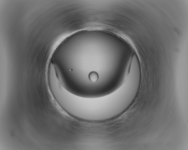 X0000112771488200909101540