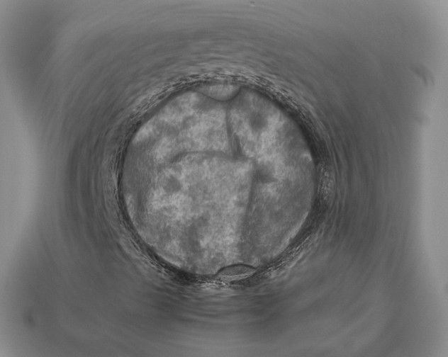 X0000112771489200909101540