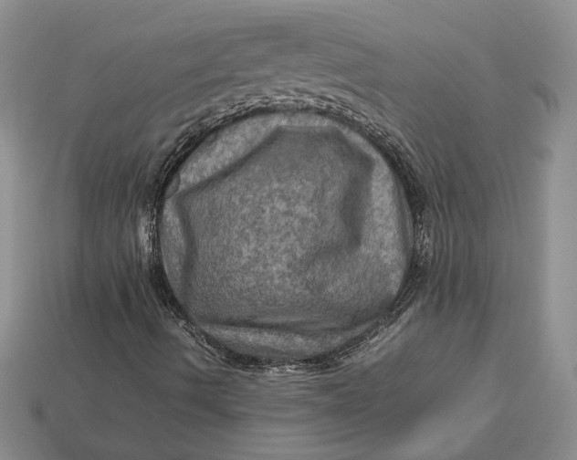 X0000112771490200909101540