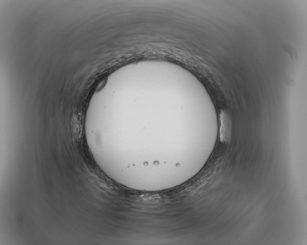 X0000112771491200909101540