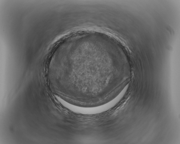 X0000112771494200909101540