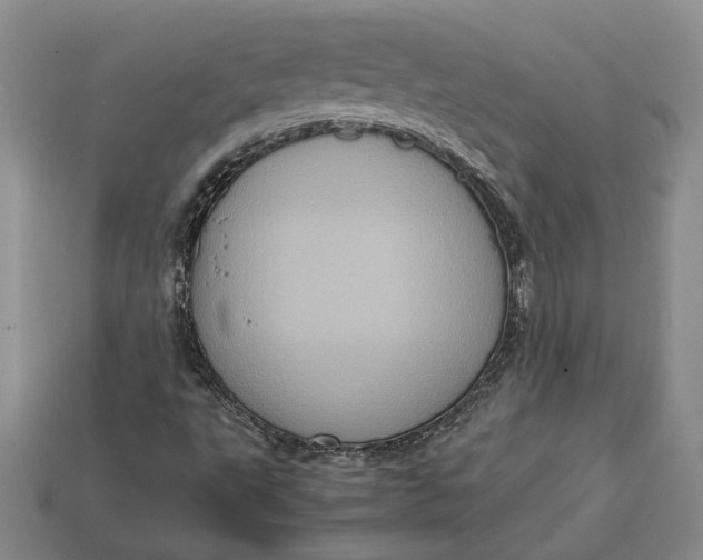 X0000112771495200909101540