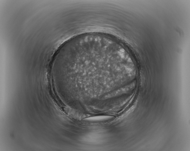 X0000112771497200909101540