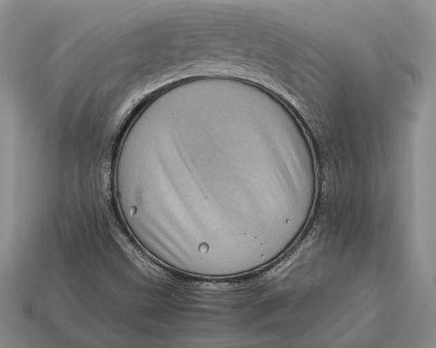 X0000112771499200909101540