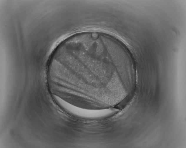 X0000112771501200909101540