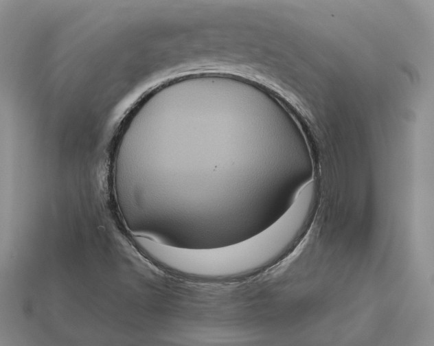 X0000112771502200909101540