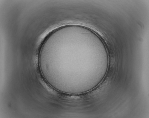 X0000112771503200909101540