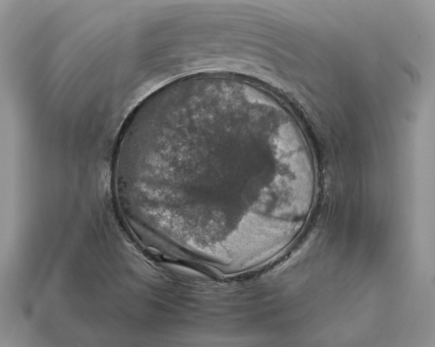 X0000112771505200909101540