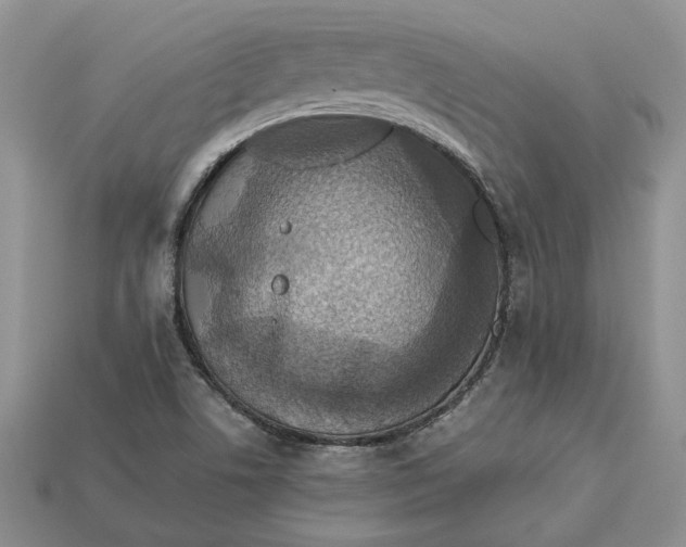 X0000112771506200909101540