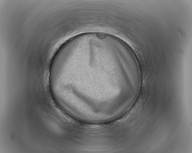 X0000112771507200909101540