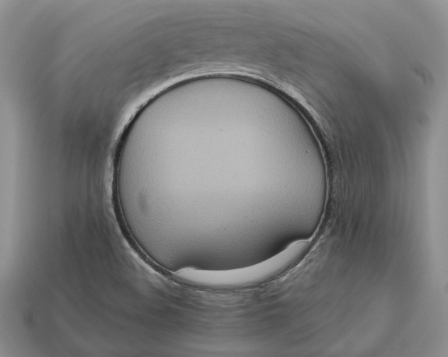 X0000112771508200909101540