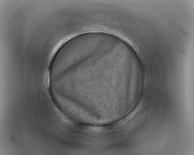 X0000112771509200909101540