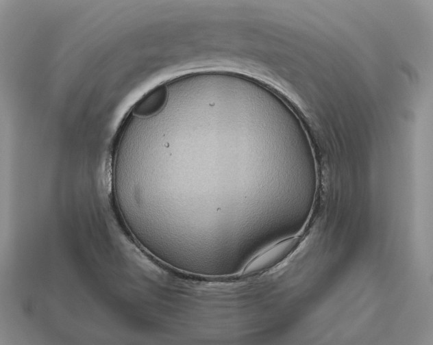 X0000112771510200909101540