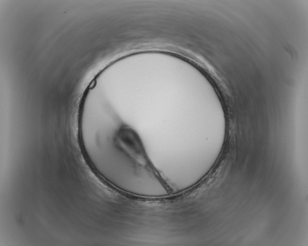 X0000112771512200909101540