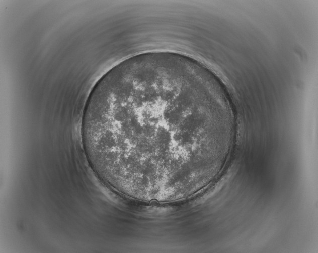 X0000112771513200909101540