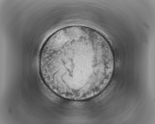 X0000112771514200909101540