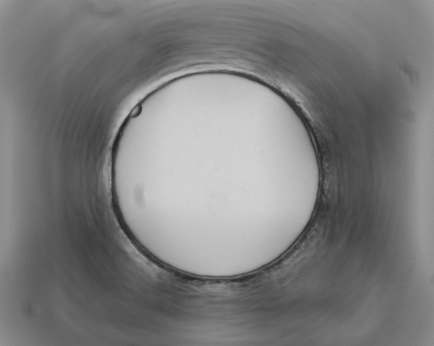 X0000112771516200909101540