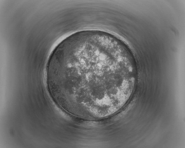 X0000112771517200909101540