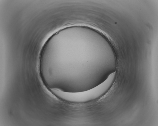 X0000112771518200909101540