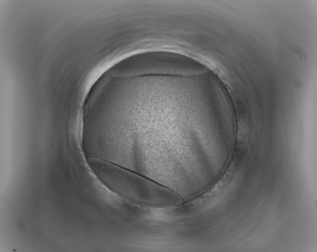 X0000112771520200909101540