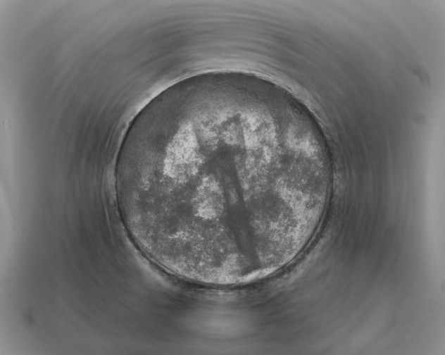 X0000112771521200909101540