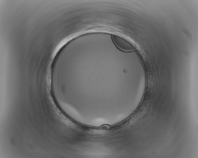 X0000112771522200909101540