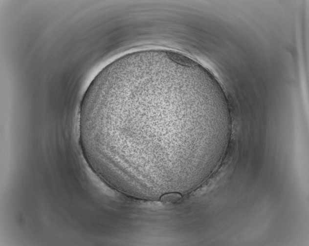 X0000112771524200909101540