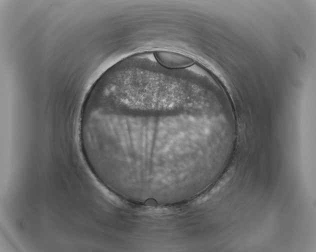 X0000112771525200909101540