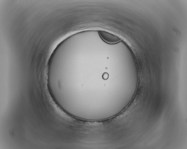 X0000112771526200909101540