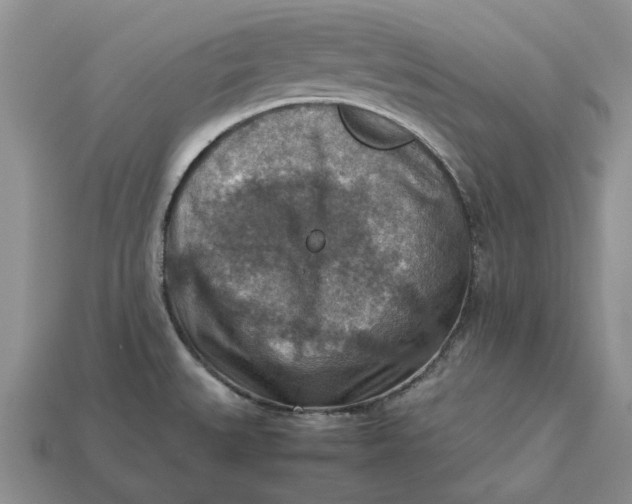 X0000112771527200909101540