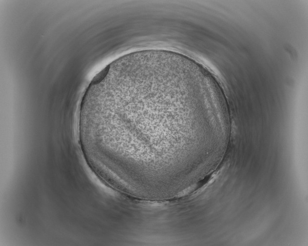 X0000112771528200909101540