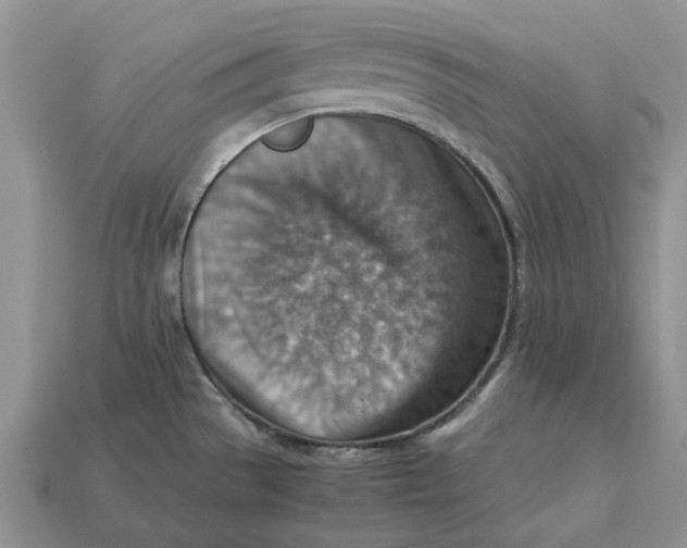 X0000112771529200909101540