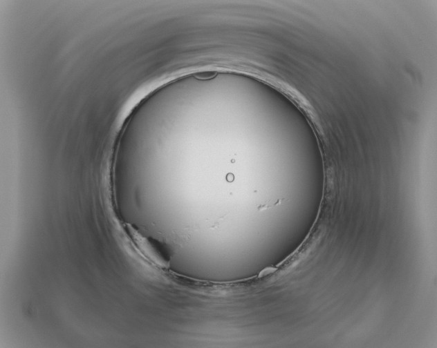 X0000112771530200909101540