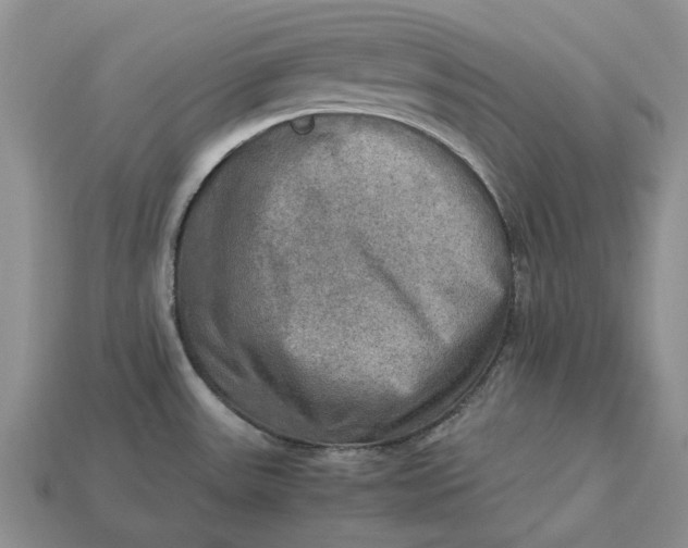 X0000112771531200909101540