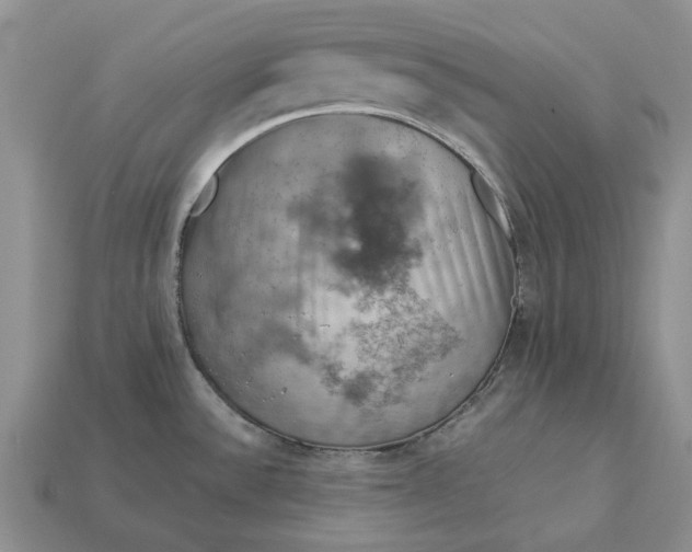 X0000112771532200909101540