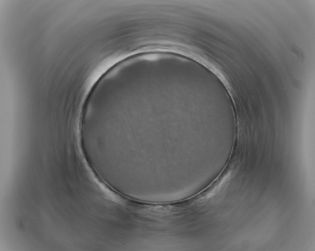 X0000112771533200909101540