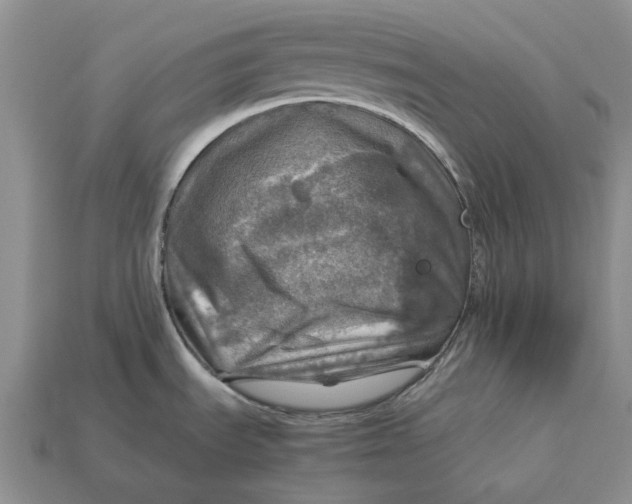 X0000112771535200909101540