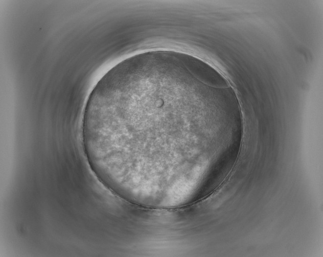 X0000112771536200909101540