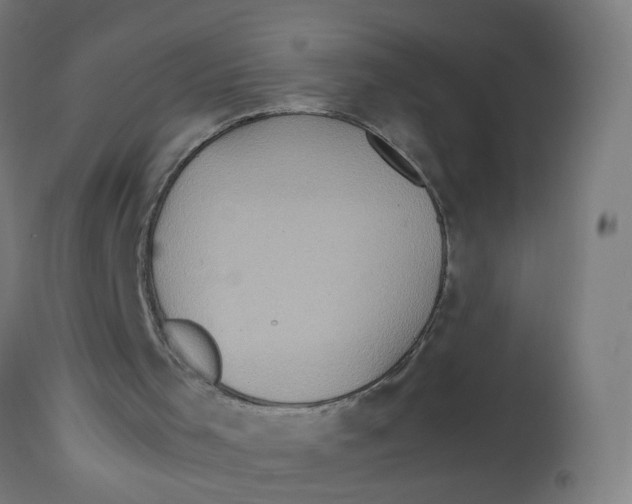 X0000112770001200909171324