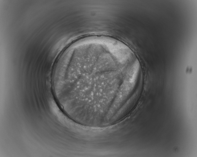 X0000112770002200909171324