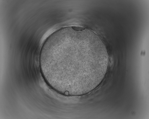 X0000112770004200909171324