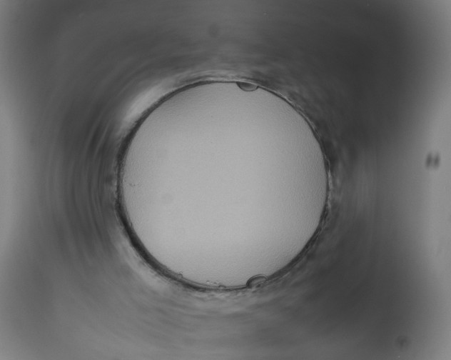 X0000112770005200909171324