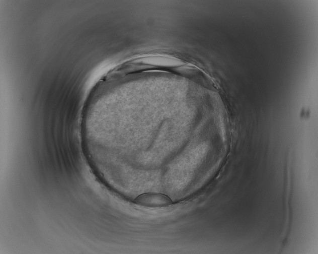 X0000112770006200909171324